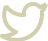 Twitter icon